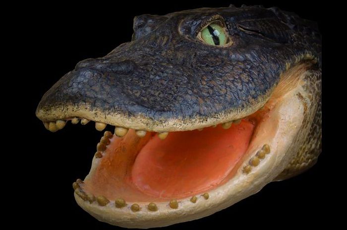 A model of the Gnatusuchus Pebasensis