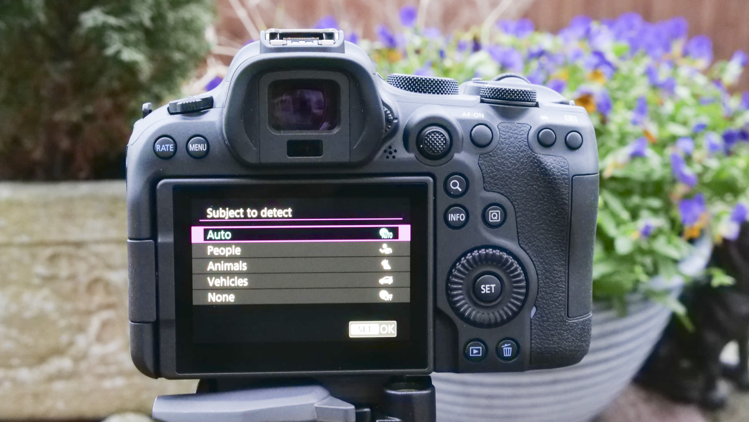 Canon EOS R6 II subject tracking AF menu on rear screen