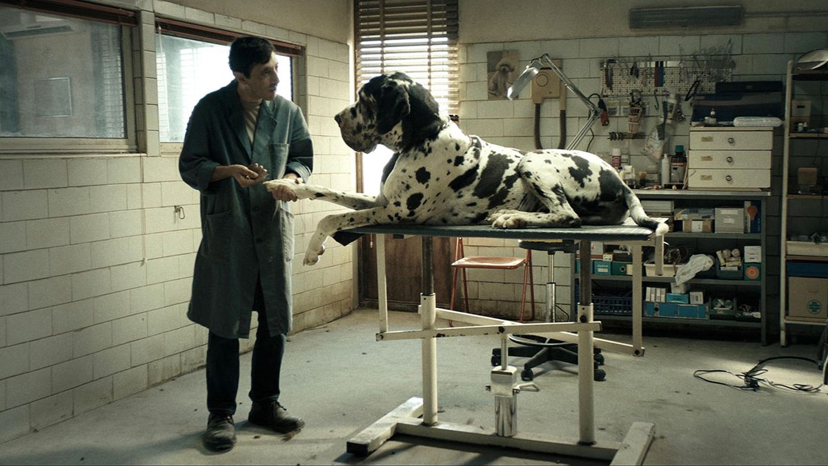 Marcello Fonte in Dogman