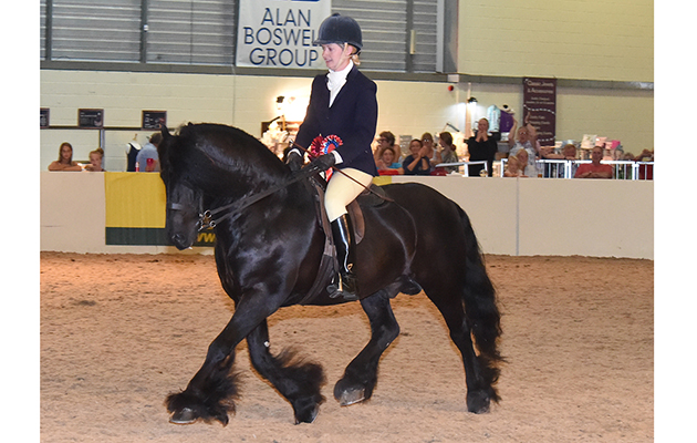Equifest 2018