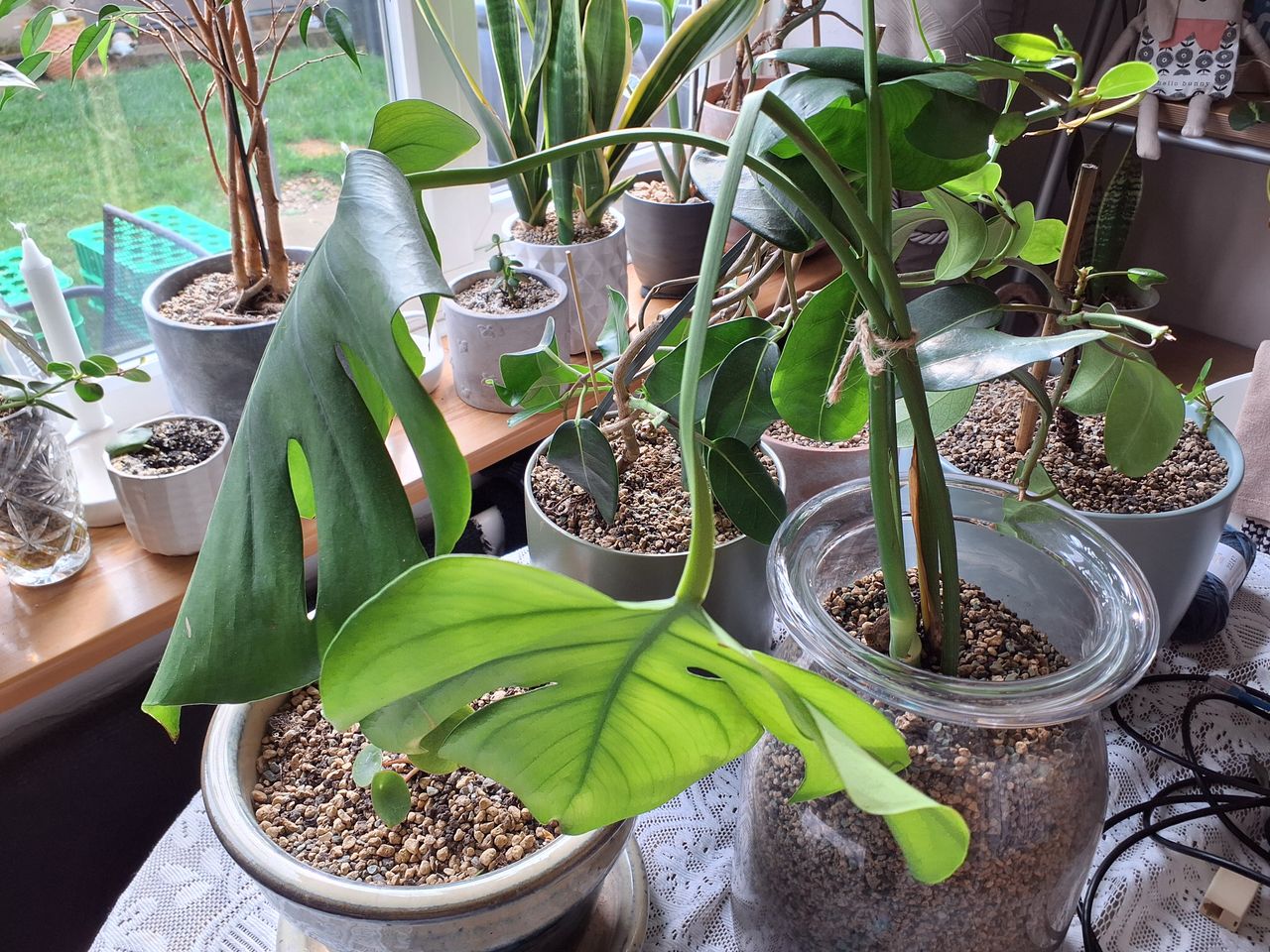 Example images from Samsung Galaxy Tab Active5