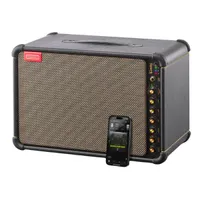 Positive Grid Spark Live