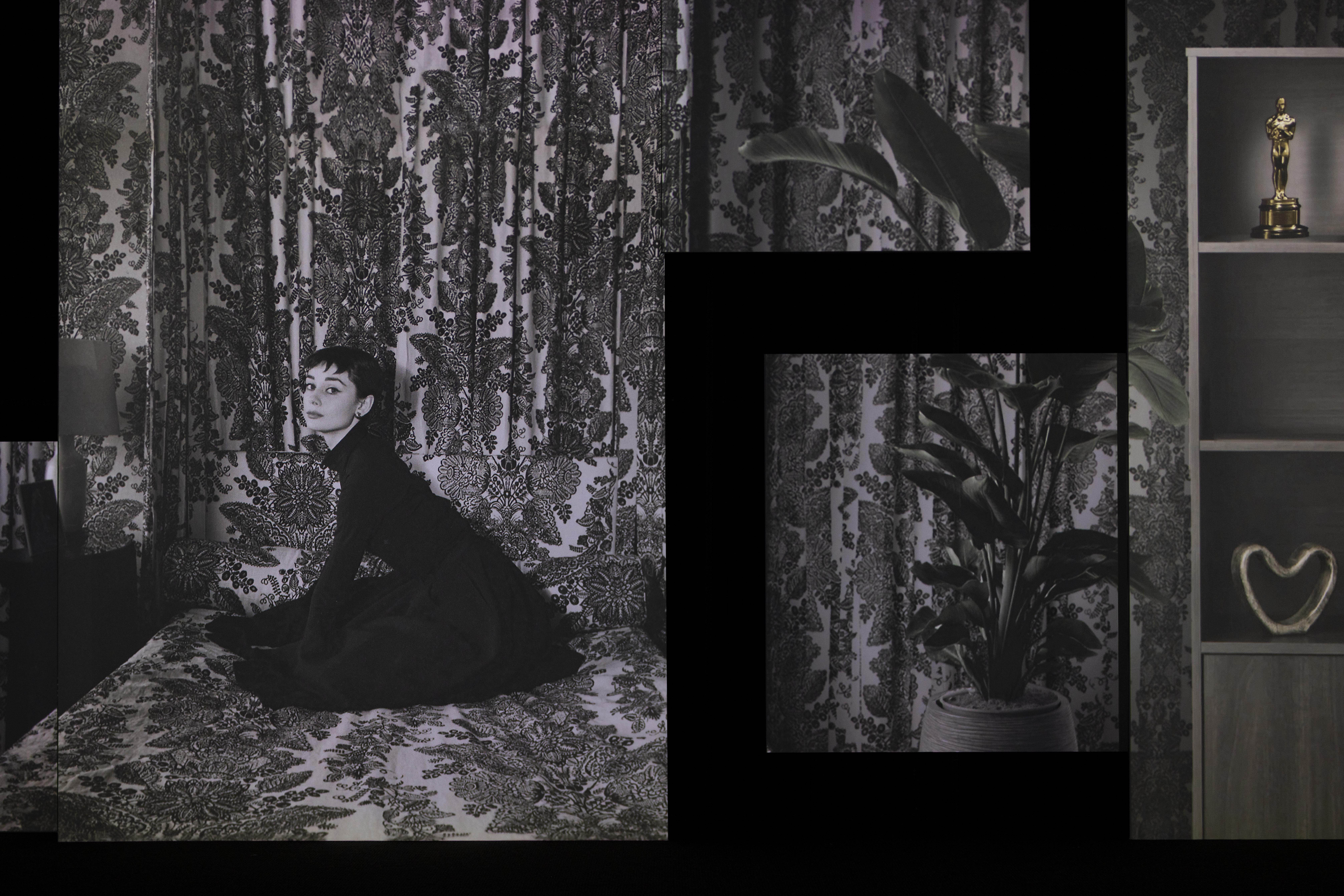 The National Portrait Gallery: Stories – Brought to Life