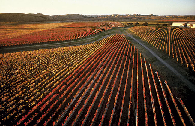 September 2015: Craggy Range, Gimblett Gravels
