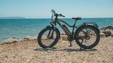 The Rad Power Bikes BadRhino bike