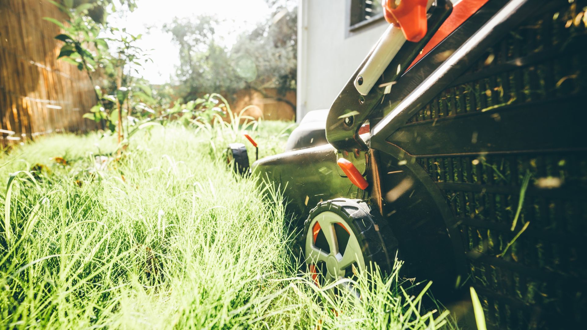 picture of man mowing lawn