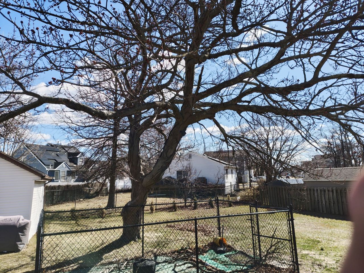 Nothing Phone 3a Pro daytime sample