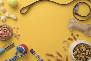 A selection of pet foods, treats, toys leads, collars and grooming supplies.