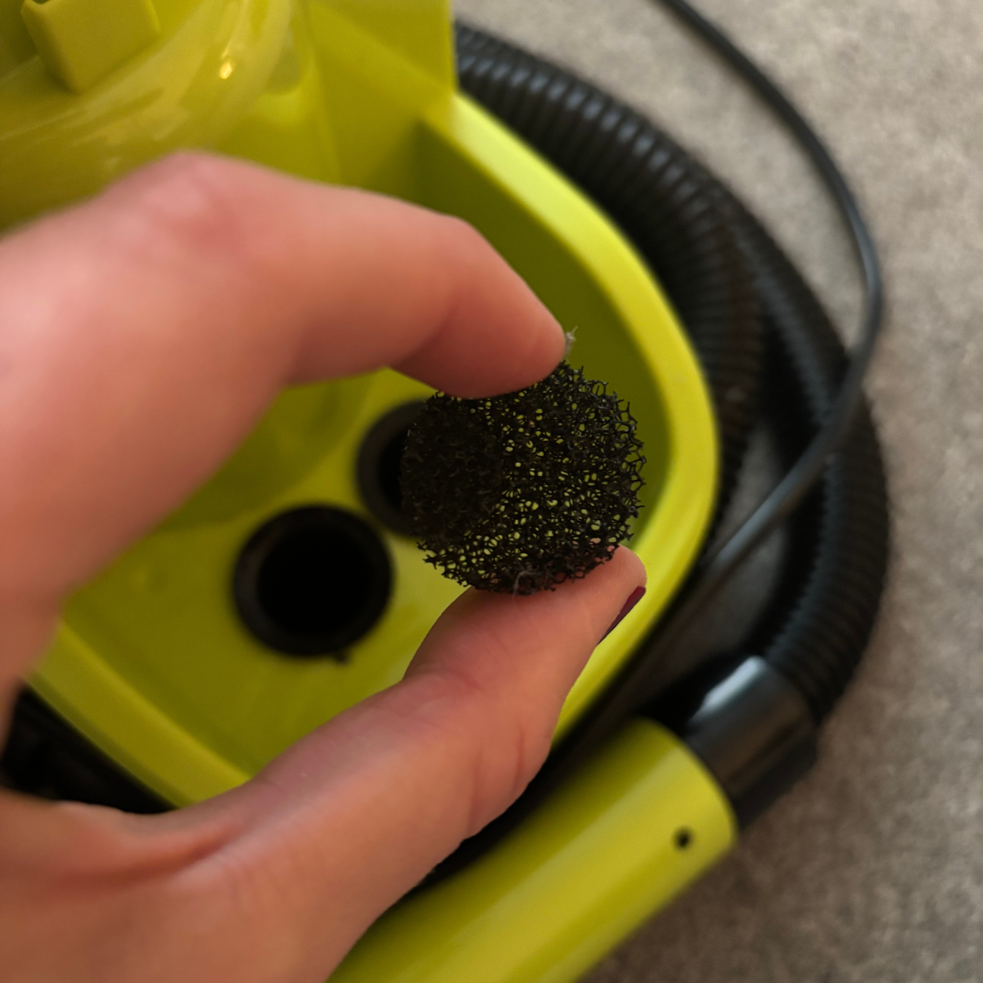 Round mesh filter sponge held above green spot cleaner