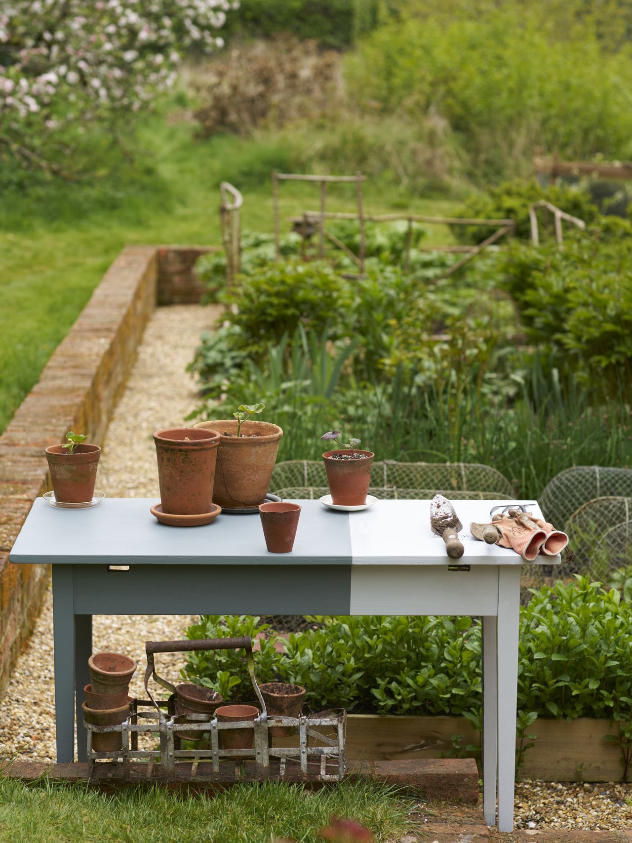 A two-toned blue table in a grassy garden with lots of terracotta pots on it. There is a brick wall surrounding a vegetable garden area.