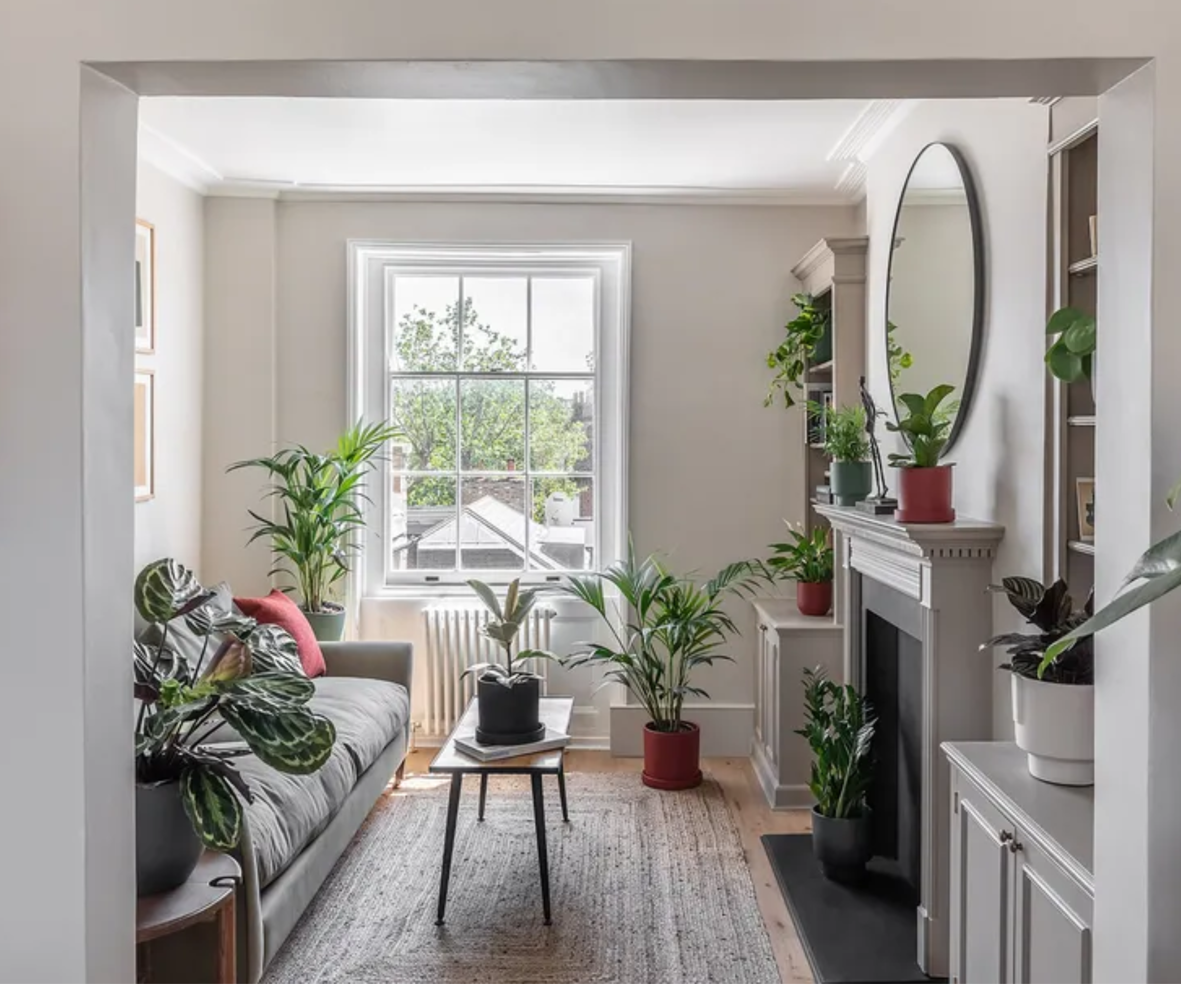 small living room with plants and natural lighting through a window