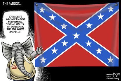 confederate patriot