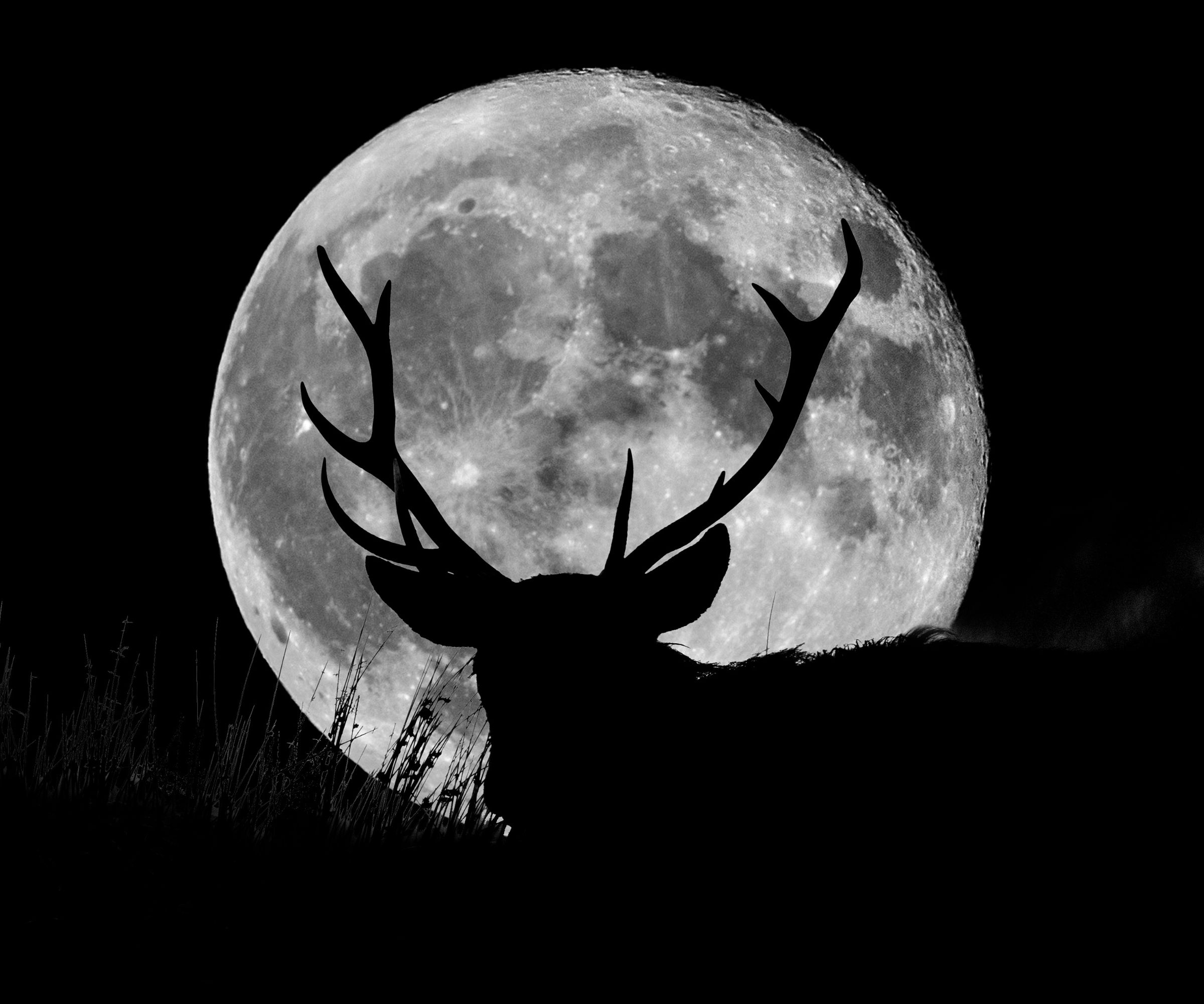 A full supermoon with the silhouette of a wild stag on a hill at night.English Peak District