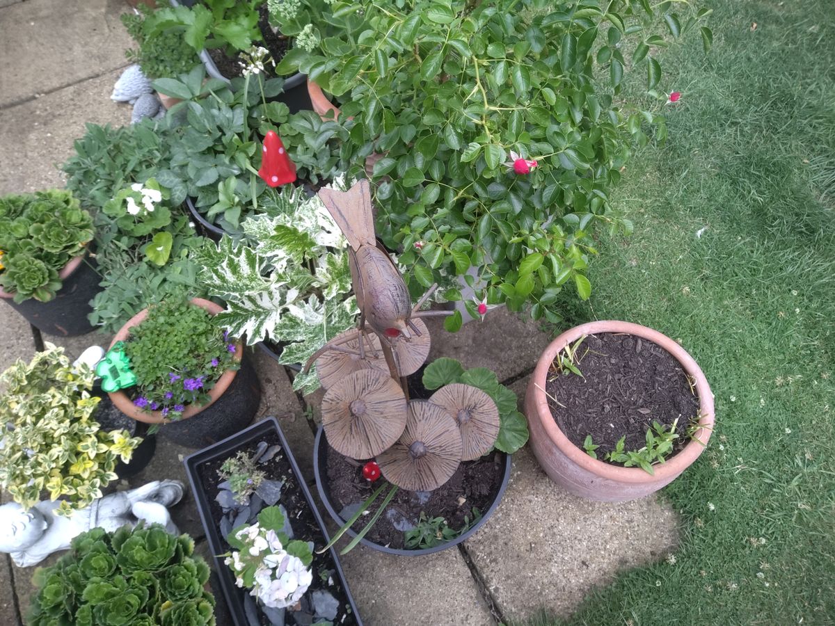 Getax ZX10 G2 camera examples