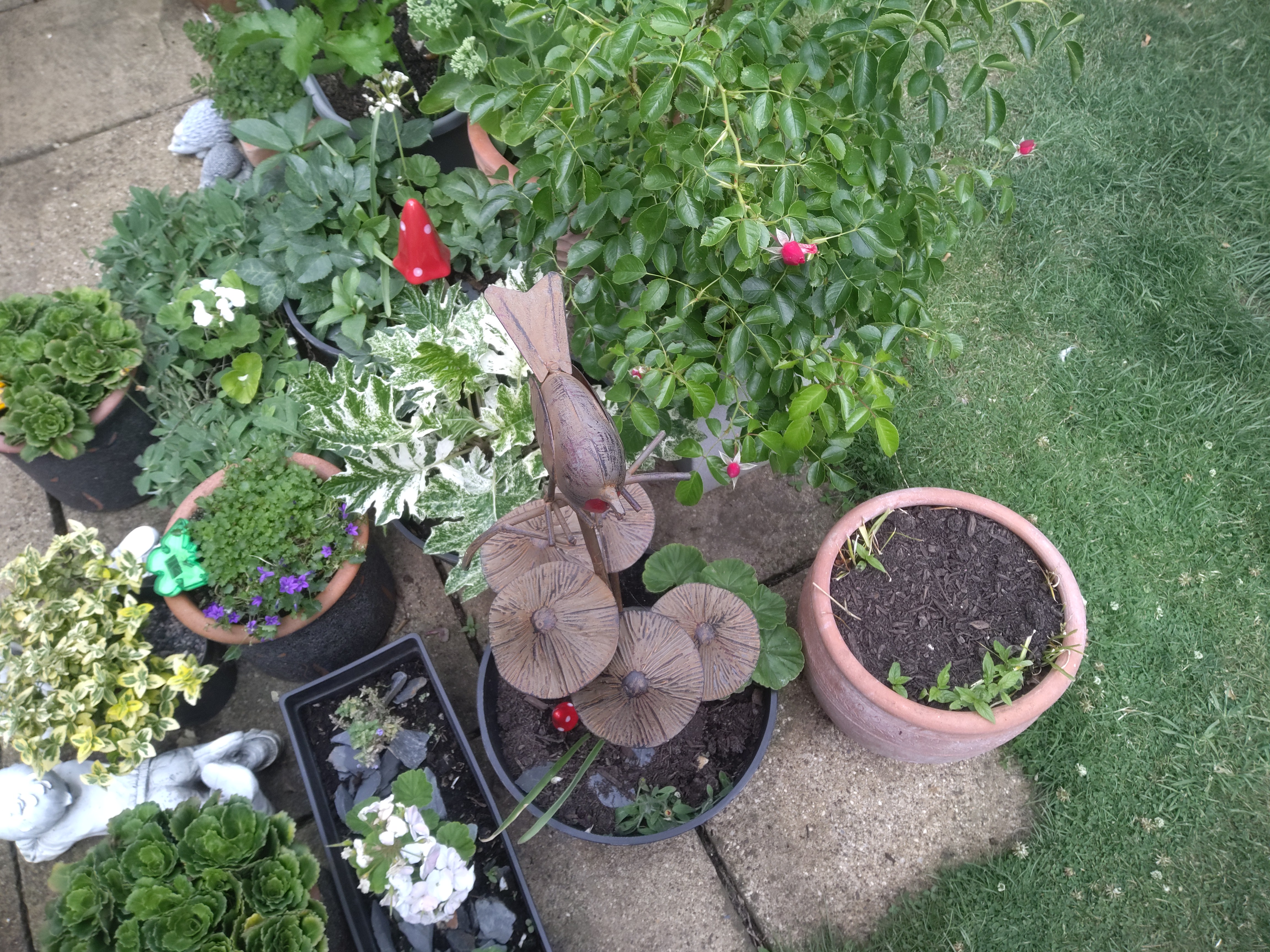 Getax ZX10 G2 camera examples