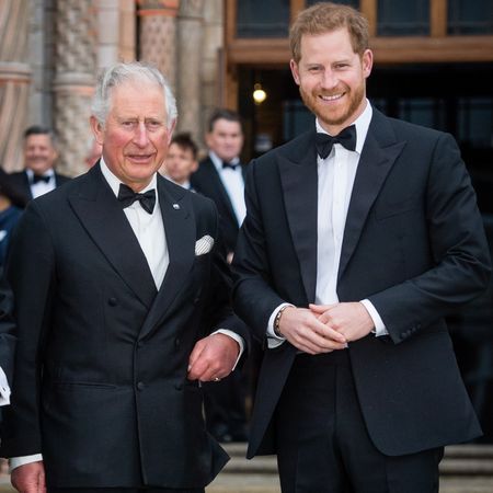 Prince Charles and Prince Harry