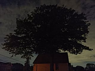 Motorola Razr 2026 camera sample.