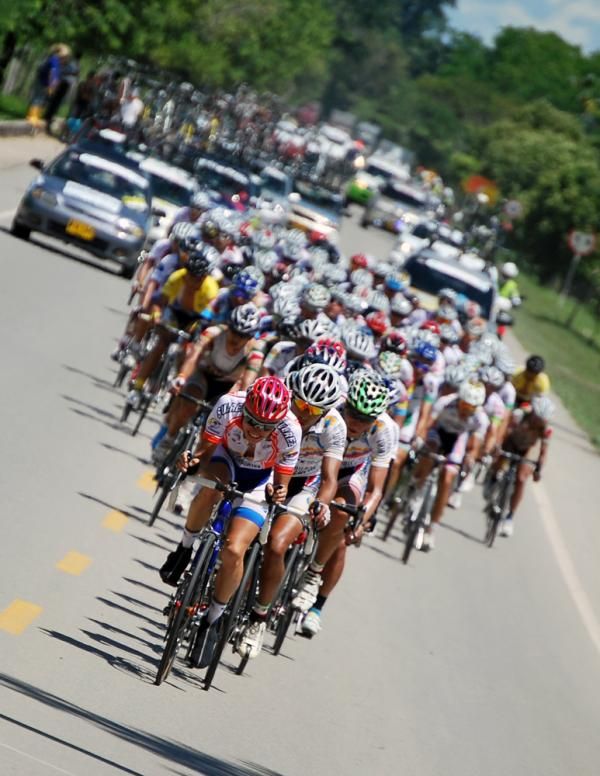 The bunch in full flight