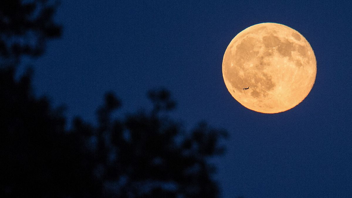 Astrophotography in March 2023: what to shoot in the night sky this ...