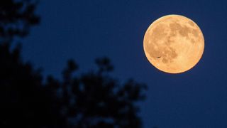 The full Moon is always orange as it rises, as seen here on July 31, 2055.