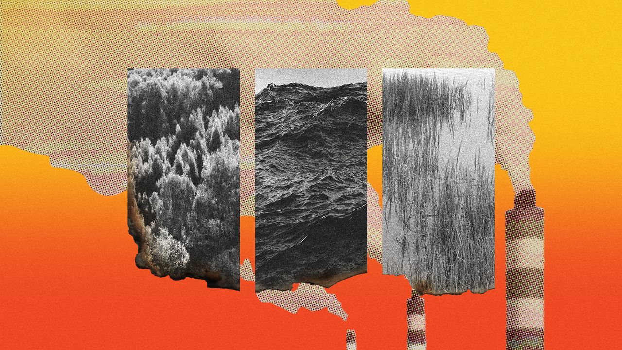 Photo collage of a forest, an ocean, and a wetland on burning pieces of paper, with smokestacks in the background. 