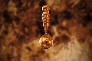 Venus in water droplet