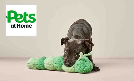 Pets at home logo top left with a close up shot of a puppy with green stuffed toy