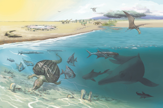 An illustration of an enormous ichthyosaur hunting in the Triassic seas