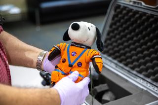 Snoopy, the zero-g indicator that flew on NASA's Orion spacecraft during the Artemis I mission, is shown on Jan. 5, 2023, more than a month after splashing down from the moon.