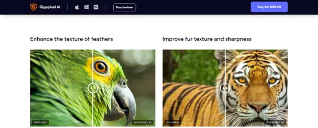 Website screenshot for Topaz Gigapixel AI