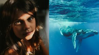 A girl in sunlight and a whale diving under water