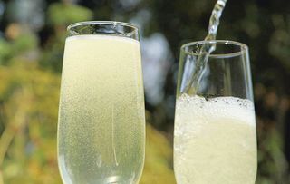 elderflower sparkling wine