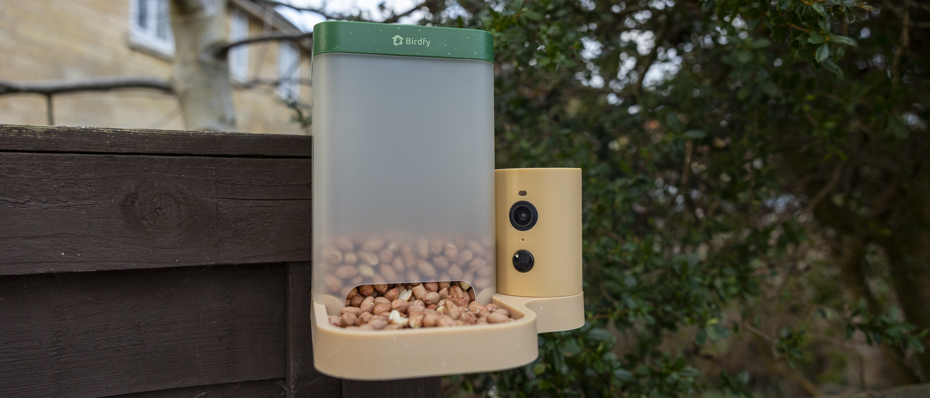 The Birdfy Rookie feeder attached to a brown garden fence