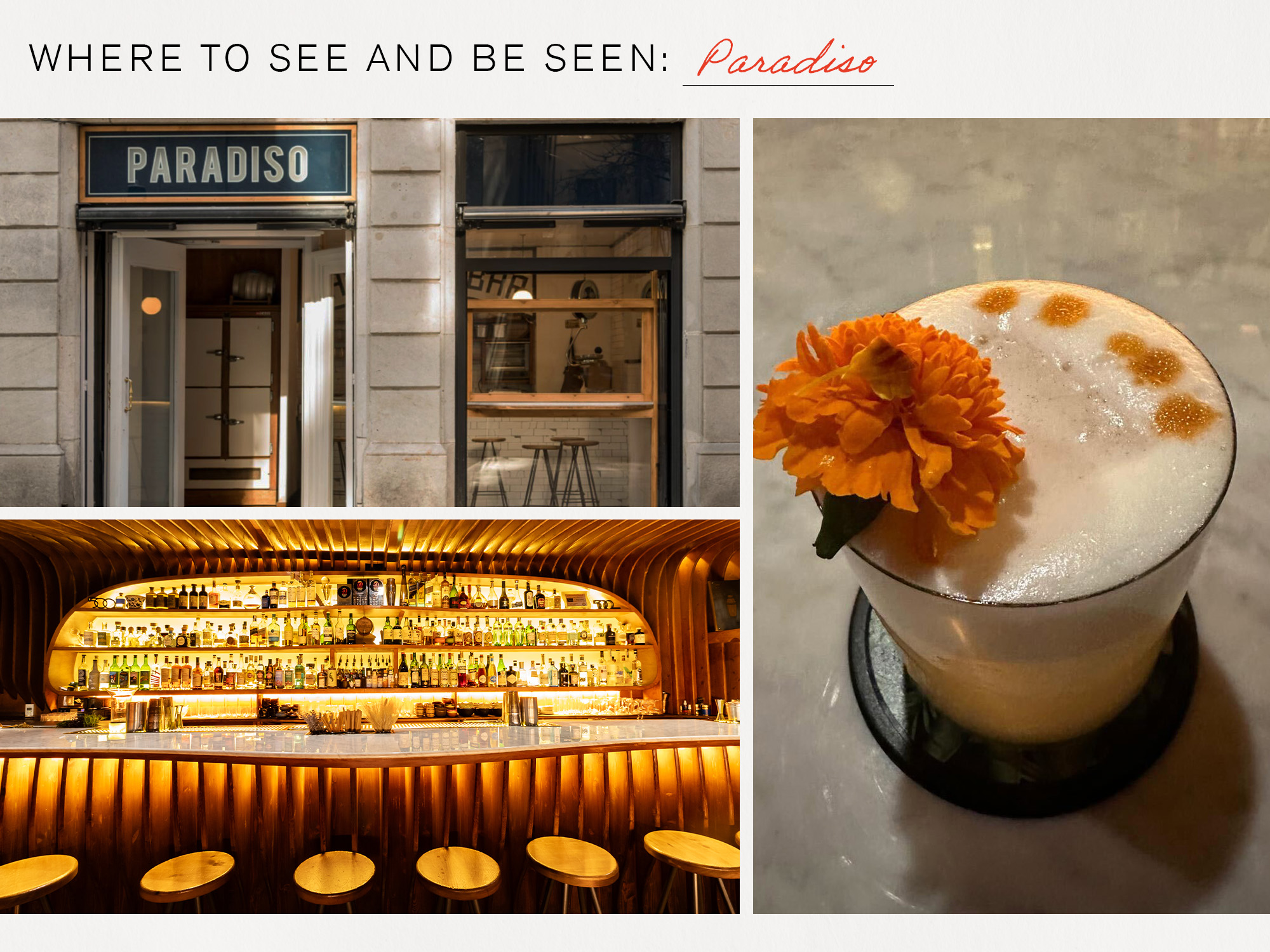 a drink available for order at paradiso