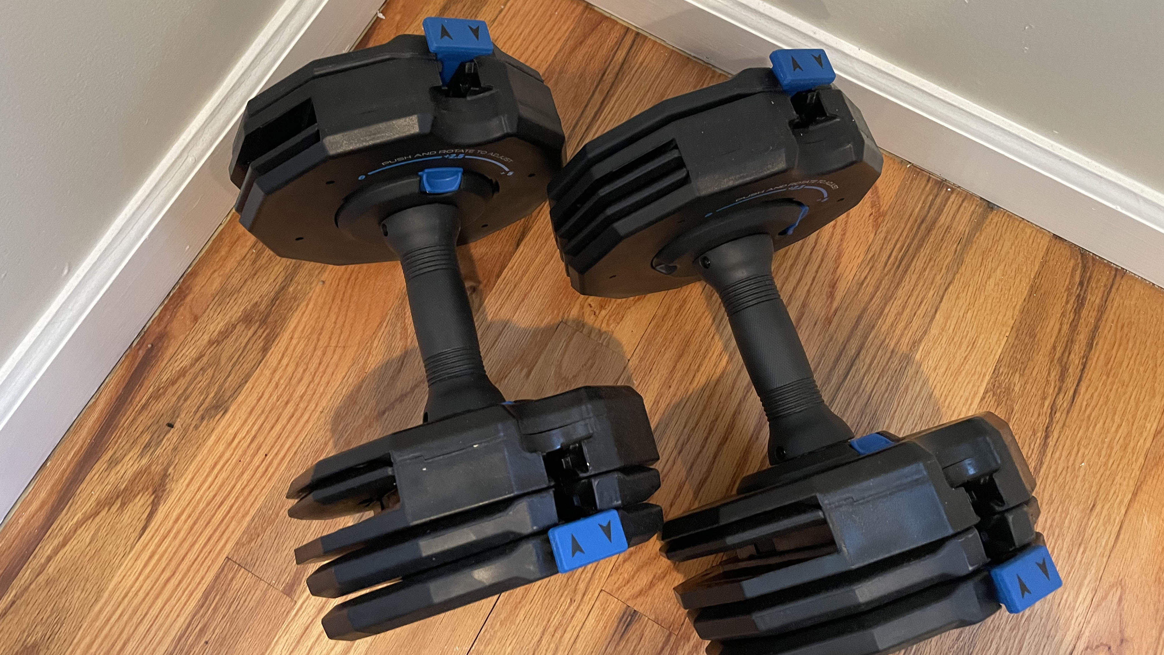 NordicTrack Select-A-Weight dumbbells 50lb