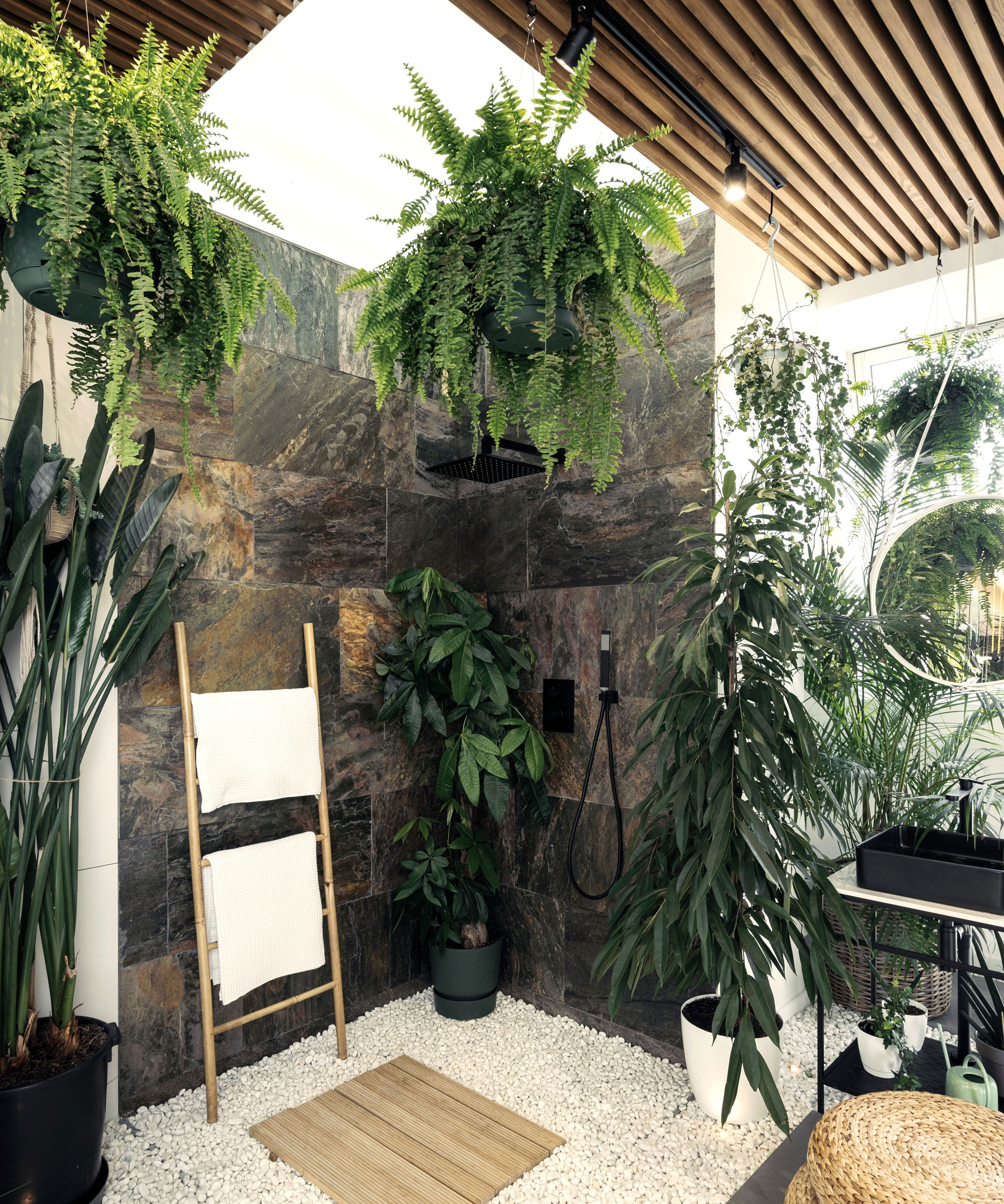 Boston ferns in hanging baskets hanging from ceiling of modern high ceiling bathroom with sky light