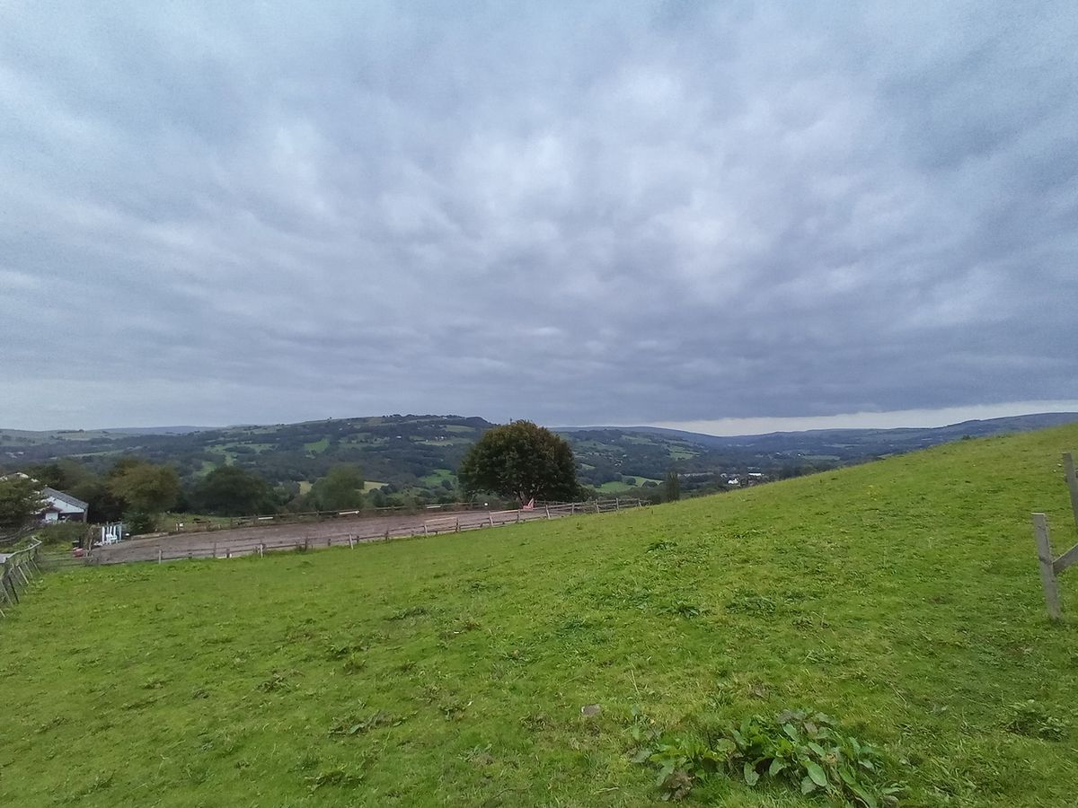 Alcatel 3L (2020) camera sample