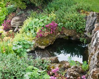 small pond in rock garden