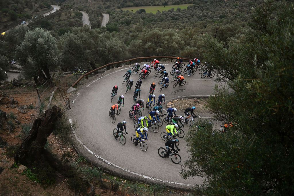 PALMANOVA SPAIN JANUARY 25 A general view of the peloton compete climbing to the Coll den Soller 49m during the 32nd Challenge Ciclista Mallorca 2023 Trofeo Calvia a 1501km one day race from Palmanova to Palmanova TrofeuCalvi ChallengeMallorca on January 25 2023 in Palmanova Spain Photo by Dario BelingheriGetty Images