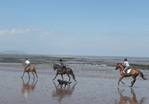 beach1.JPG