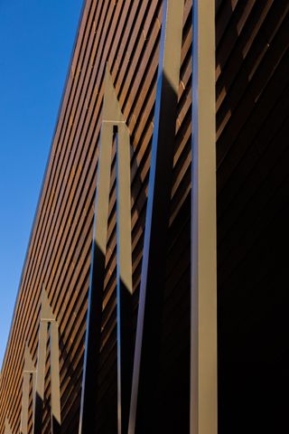 gulbenkian foundation's new art museum with swooping kengo kuma timber roof and quite greenery in Lisbon