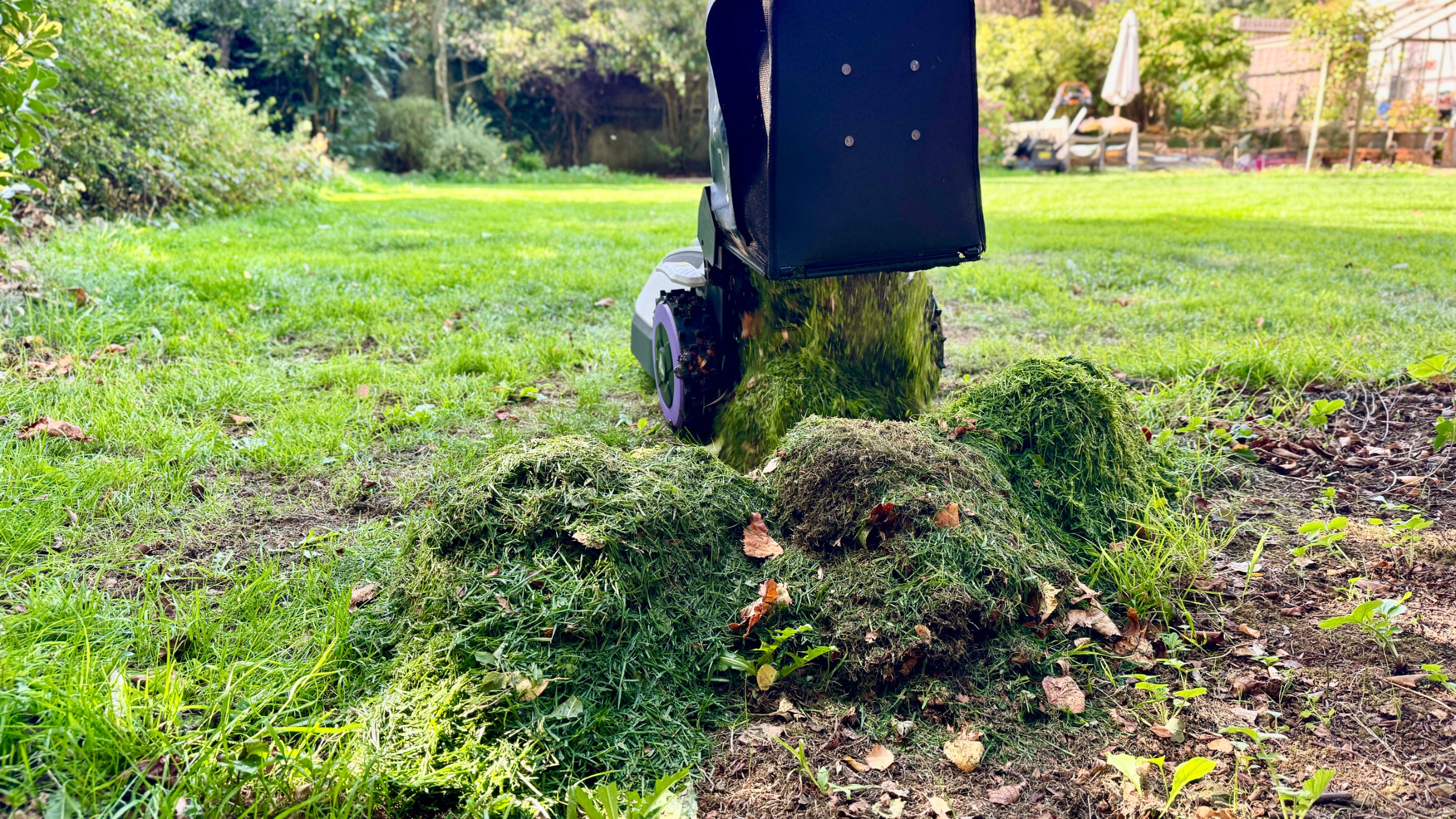Anthbot N8 dumping grass