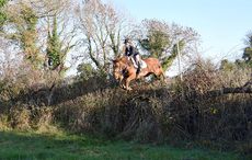 NOV 2018: James Clearyage 7 on his 3 year old pony Little Paddy Brown. This pony was bred by his granduncle Paddy Dunning who has passed away this year. Paddy showed Irish Draught horses. James is the son of Paul and Joan Cleary. James hunts every Sunday with his daddy Paul and Uncle Rory Cleary and the South Westmeath Harriers (Photo: FOC via Nicola Collins)