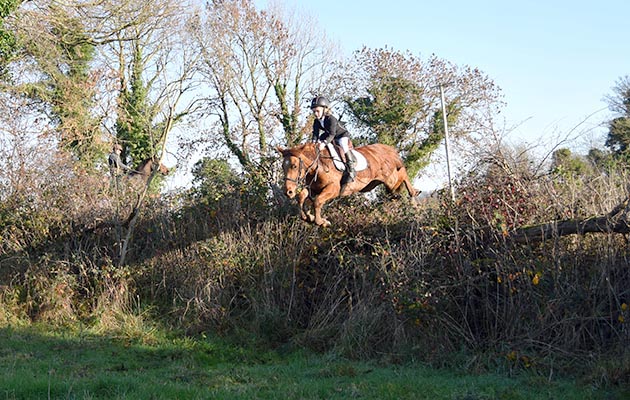 NOV 2018: James Clearyage 7 on his 3 year old pony Little Paddy Brown. This pony was bred by his granduncle Paddy Dunning who has passed away this year. Paddy showed Irish Draught horses. James is the son of Paul and Joan Cleary. James hunts every Sunday with his daddy Paul and Uncle Rory Cleary and the South Westmeath Harriers (Photo: FOC via Nicola Collins)