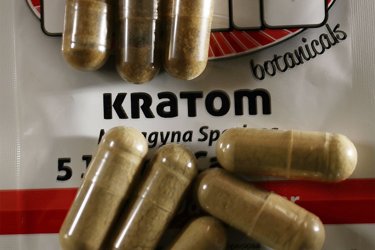 Capsules of the herbal supplement Kratom.