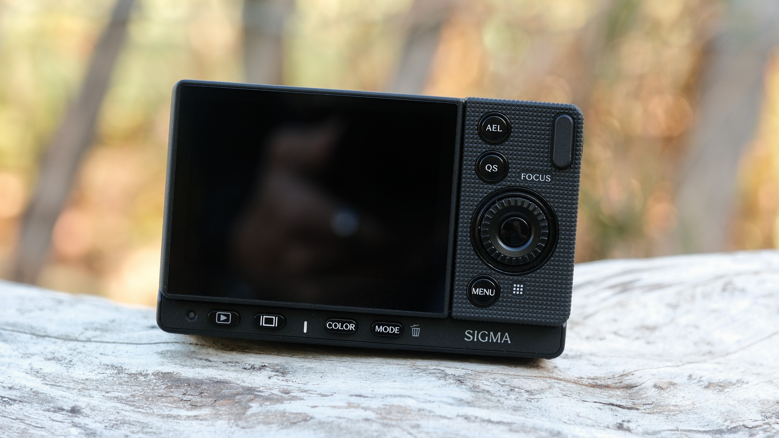 Angled rear view of the Sigma FP2 showing its screen, rear control dial and dedicated buttons.