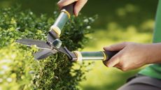 A person pruning a hedge with hedging shears