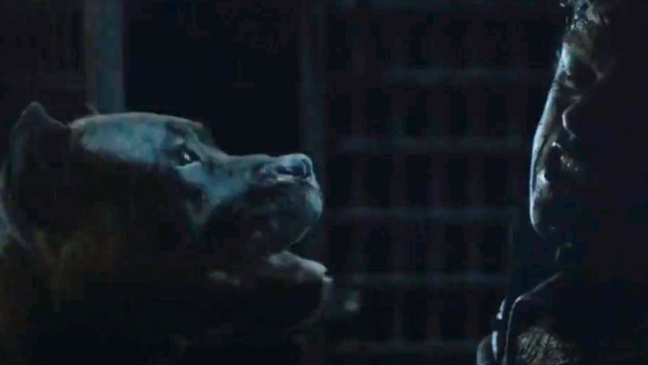 Bolton Ramsay getting attacked by one of his dogs
