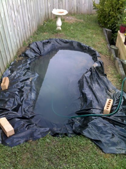 DIY Backyard Pond