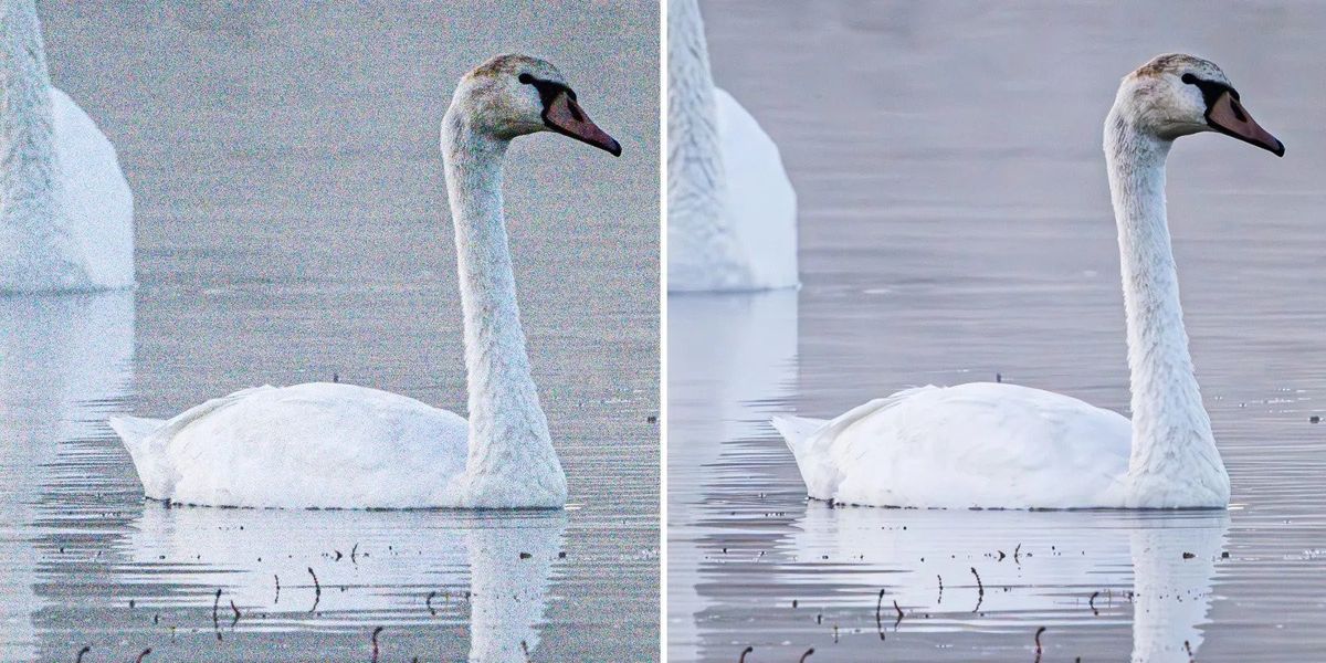 Major Adobe Lightroom update brings powerful noise reduction to your photos